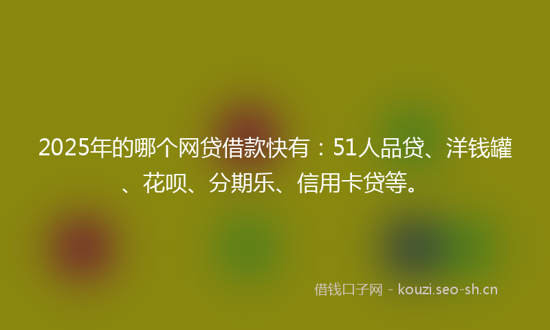 2025年的哪个网贷借款快有：51人品贷、洋钱罐、花呗、分期乐、信用卡贷等。