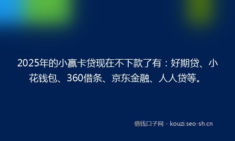 2025年的小赢卡贷现在不下款了有：好期贷、小花钱包、360借条、京东金融、人人贷等。