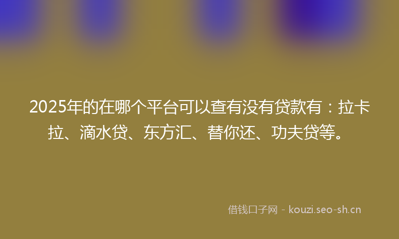 2025年的在哪个平台可以查有没有贷款有：拉卡拉、滴水贷、东方汇、替你还、功夫贷等。