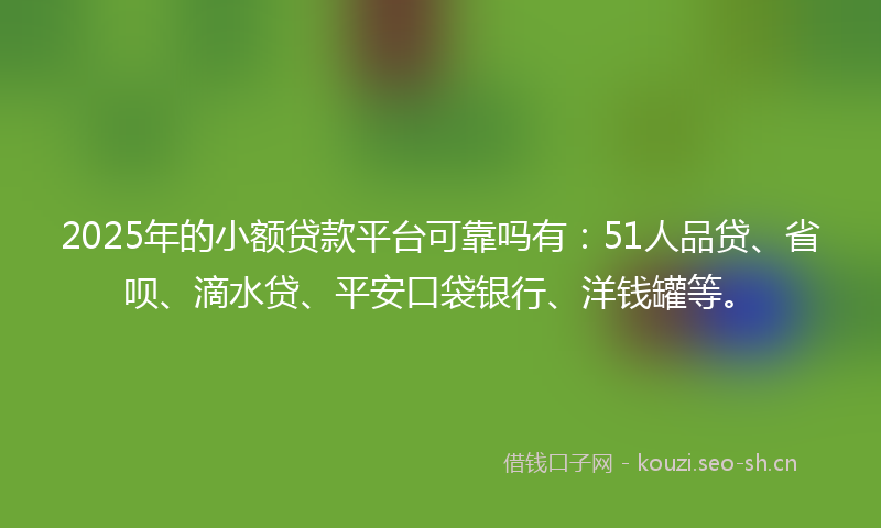 2025年的小额贷款平台可靠吗有：51人品贷、省呗、滴水贷、平安口袋银行、洋钱罐等。
