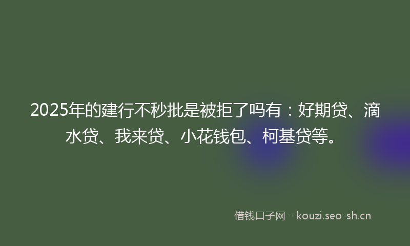 2025年的建行不秒批是被拒了吗有：好期贷、滴水贷、我来贷、小花钱包、柯基贷等。