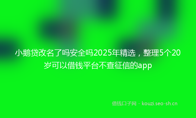 小鹅贷改名了吗安全吗2025年精选,整理5个20岁可以借钱平台不查征信的app