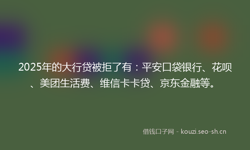 2025年的大行贷被拒了有：平安口袋银行、花呗、美团生活费、维信卡卡贷、京东金融等。