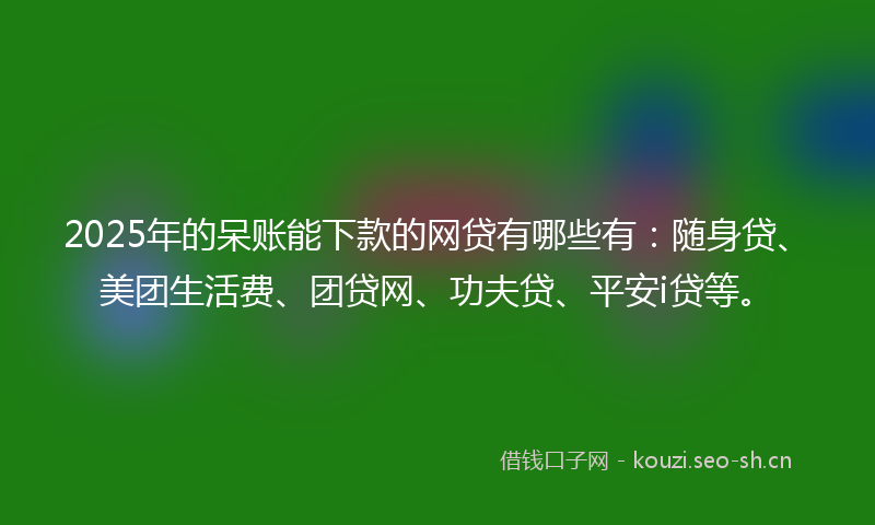 2025年的呆账能下款的网贷有哪些有：随身贷、美团生活费、团贷网、功夫贷、平安i贷等。