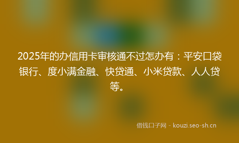 2025年的办信用卡审核通不过怎办有：平安口袋银行、度小满金融、快贷通、小米贷款、人人贷等。
