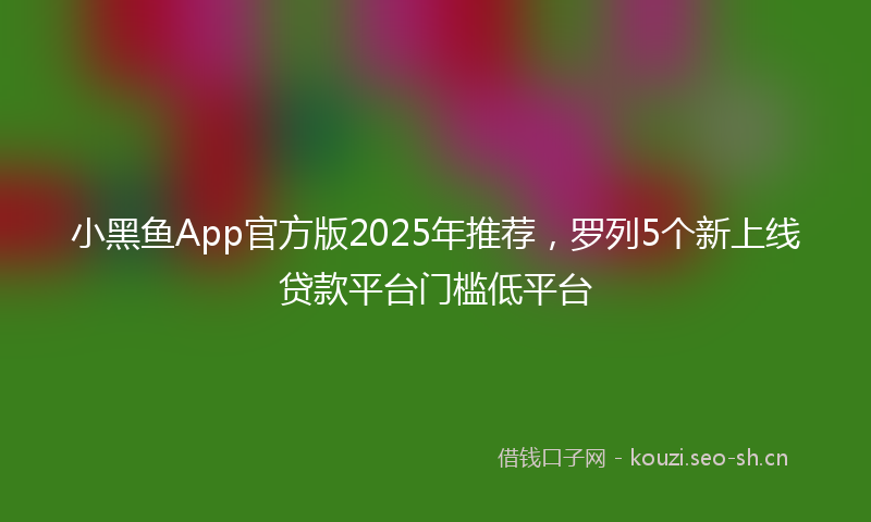 小黑鱼App官方版2025年推荐，罗列5个新上线贷款平台门槛低平台