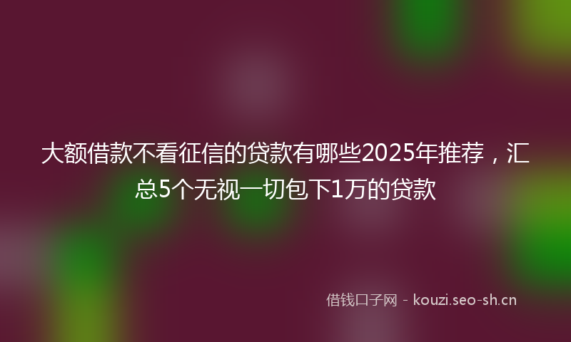 大额借款不看征信的贷款有哪些2025年推荐，汇总5个无视一切包下1万的贷款