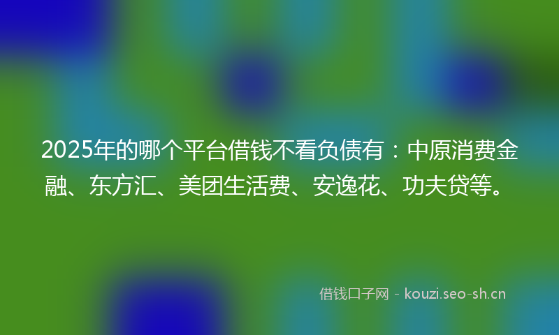 2025年的哪个平台借钱不看负债有：中原消费金融、东方汇、美团生活费、安逸花、功夫贷等。