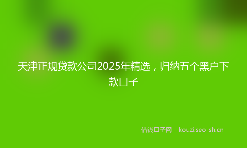天津正规贷款公司2025年精选,归纳五个黑户下款口子