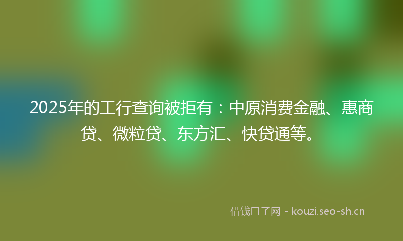 2025年的工行查询被拒有：中原消费金融、惠商贷、微粒贷、东方汇、快贷通等。