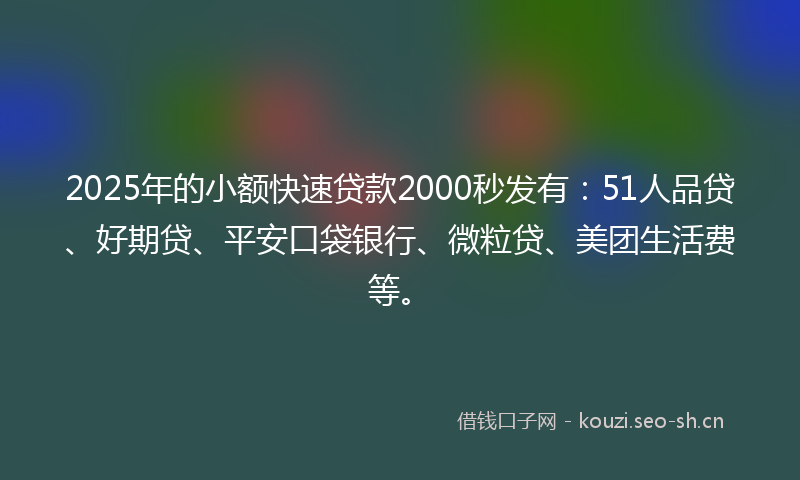 2025年的小额快速贷款2000秒发有：51人品贷、好期贷、平安口袋银行、微粒贷、美团生活费等。