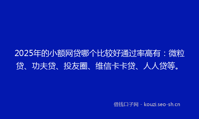 2025年的小额网贷哪个比较好通过率高有：微粒贷、功夫贷、投友圈、维信卡卡贷、人人贷等。