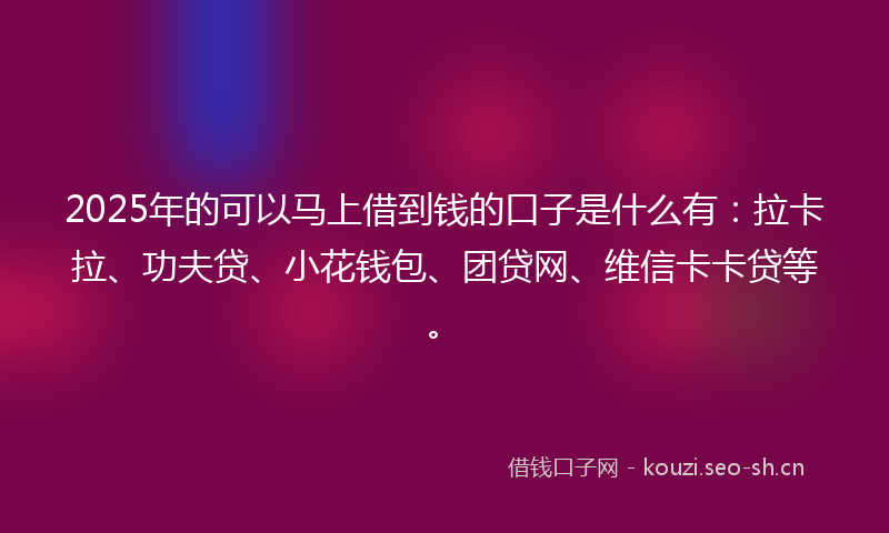 2025年的可以马上借到钱的口子是什么有：拉卡拉、功夫贷、小花钱包、团贷网、维信卡卡贷等。