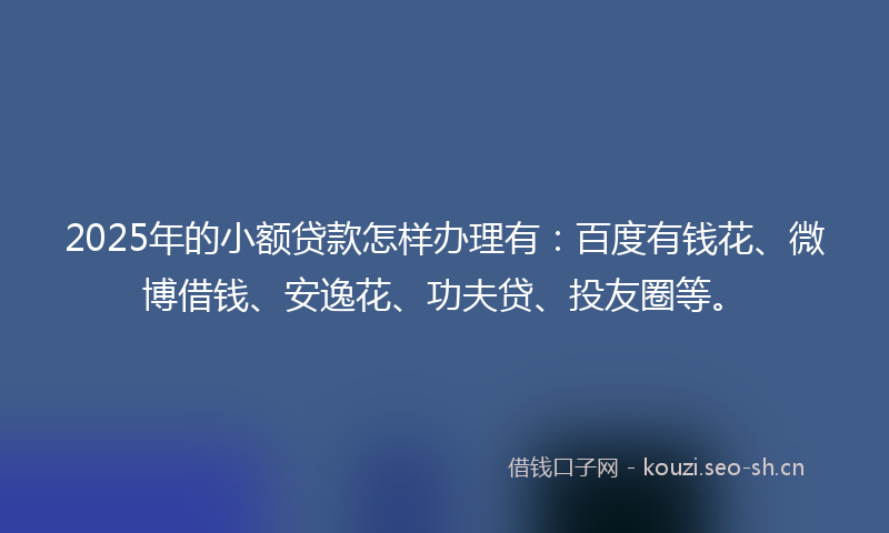 2025年的小额贷款怎样办理有：百度有钱花、微博借钱、安逸花、功夫贷、投友圈等。