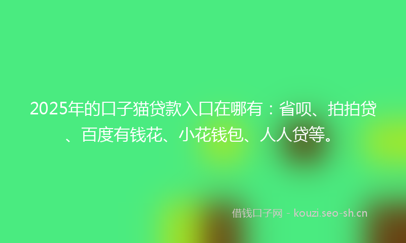 2025年的口子猫贷款入口在哪有:省呗、拍拍贷、百度有钱花、小花钱包、人人贷等。