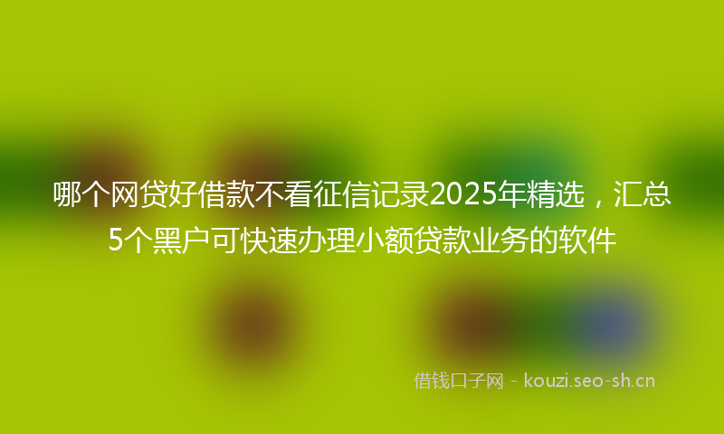 哪个网贷好借款不看征信记录2025年精选，汇总5个黑户可快速办理小额贷款业务的软件