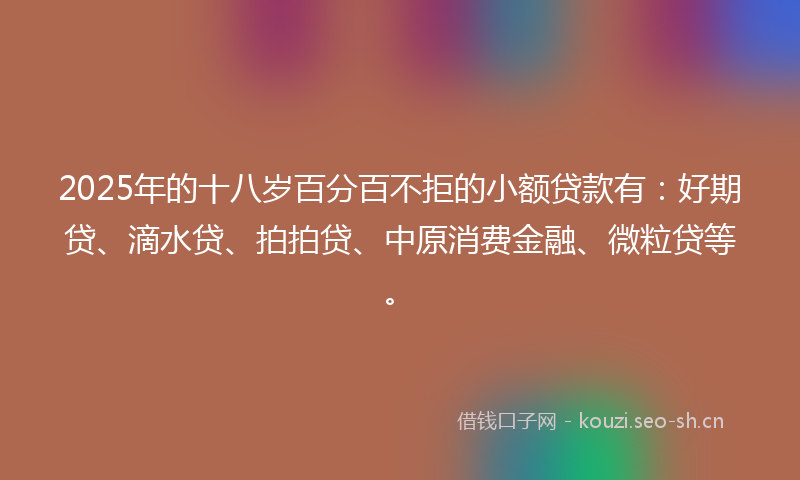 2025年的十八岁百分百不拒的小额贷款有：好期贷、滴水贷、拍拍贷、中原消费金融、微粒贷等。