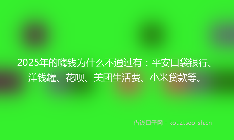 2025年的嗨钱为什么不通过有：平安口袋银行、洋钱罐、花呗、美团生活费、小米贷款等。