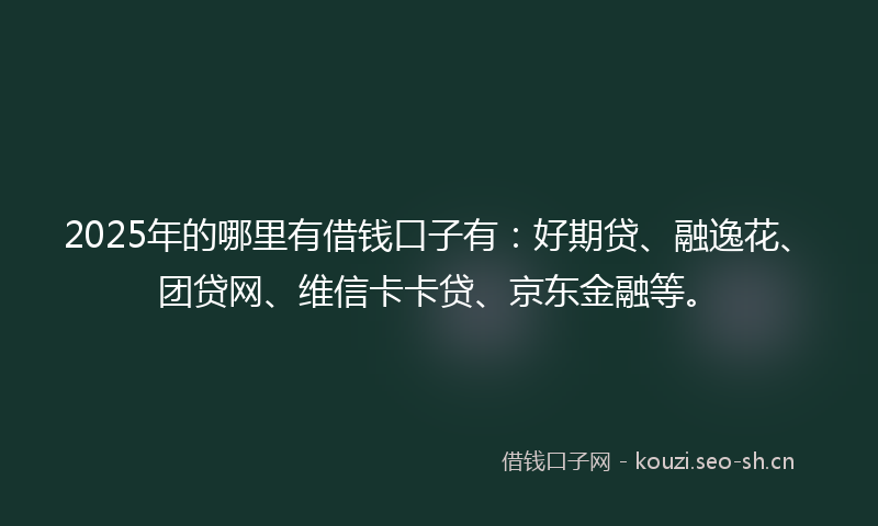 2025年的哪里有借钱口子有：好期贷、融逸花、团贷网、维信卡卡贷、京东金融等。