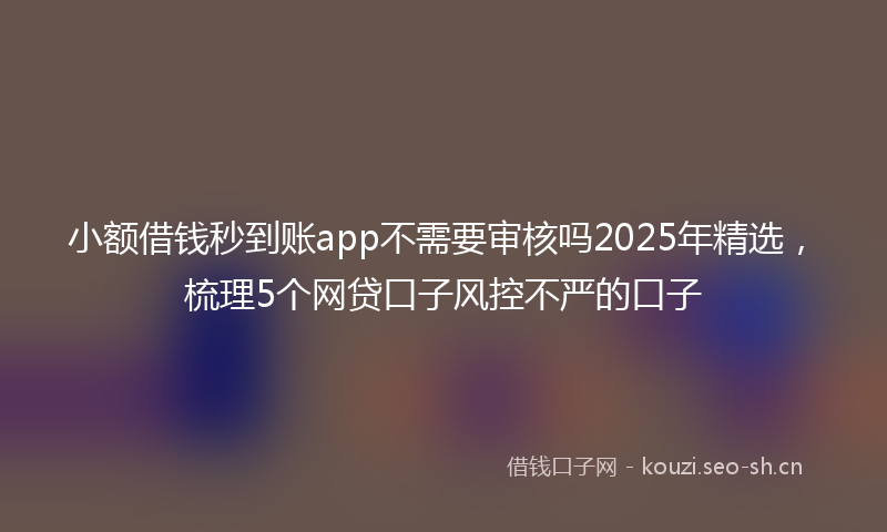 小额借钱秒到账app不需要审核吗2025年精选，梳理5个网贷口子风控不严的口子
