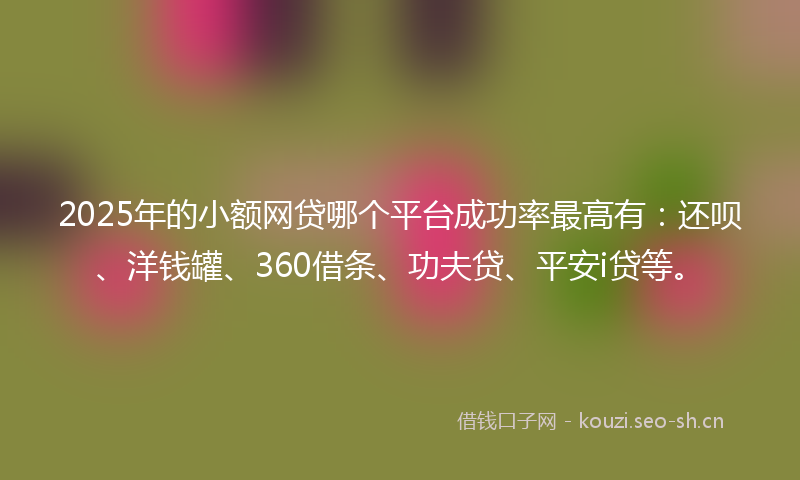2025年的小额网贷哪个平台成功率最高有：还呗、洋钱罐、360借条、功夫贷、平安i贷等。