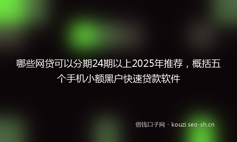 哪些网贷可以分期24期以上2025年推荐，概括五个手机小额黑户快速贷款软件