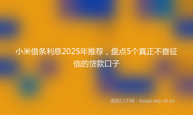 小米借条利息2025年推荐,盘点5个真正不查征信的贷款口子