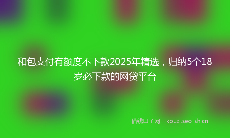 和包支付有额度不下款2025年精选，归纳5个18岁必下款的网贷平台