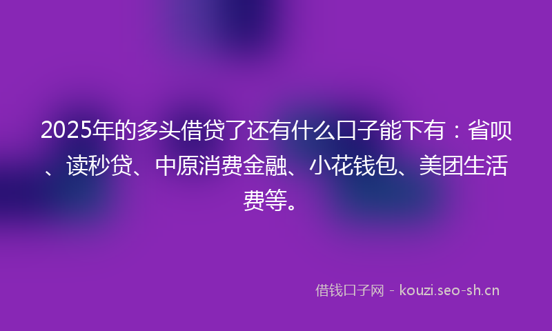 2025年的多头借贷了还有什么口子能下有：省呗、读秒贷、中原消费金融、小花钱包、美团生活费等。