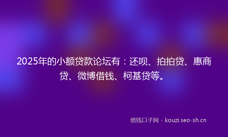 2025年的小额贷款论坛有：还呗、拍拍贷、惠商贷、微博借钱、柯基贷等。