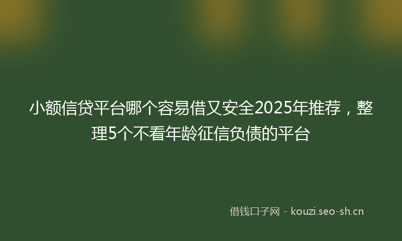 小额信贷平台哪个容易借又安全2025年推荐，整理5个不看年龄征信负债的平台
