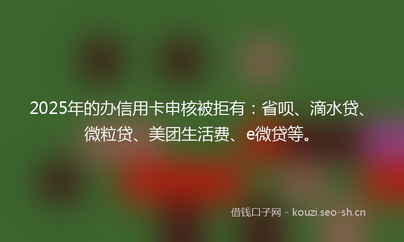 2025年的办信用卡申核被拒有：省呗、滴水贷、微粒贷、美团生活费、e微贷等。
