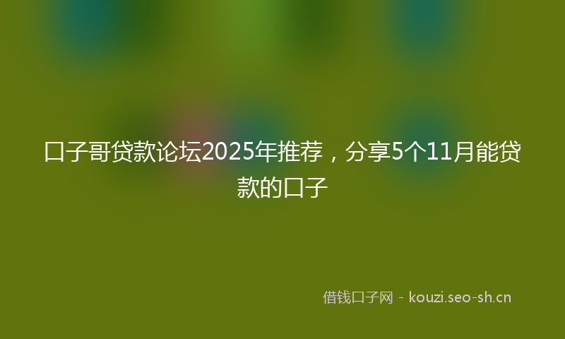 口子哥贷款论坛2025年推荐，分享5个11月能贷款的口子