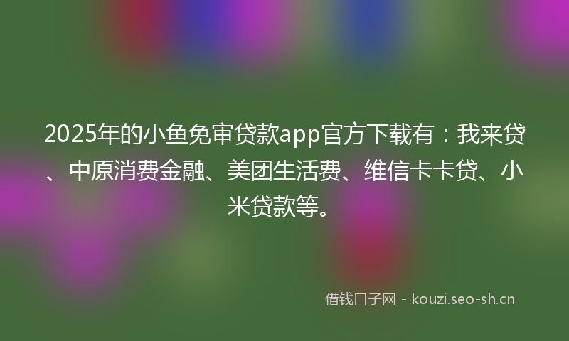 2025年的小鱼免审贷款app官方下载有：我来贷、中原消费金融、美团生活费、维信卡卡贷、小米贷款等。