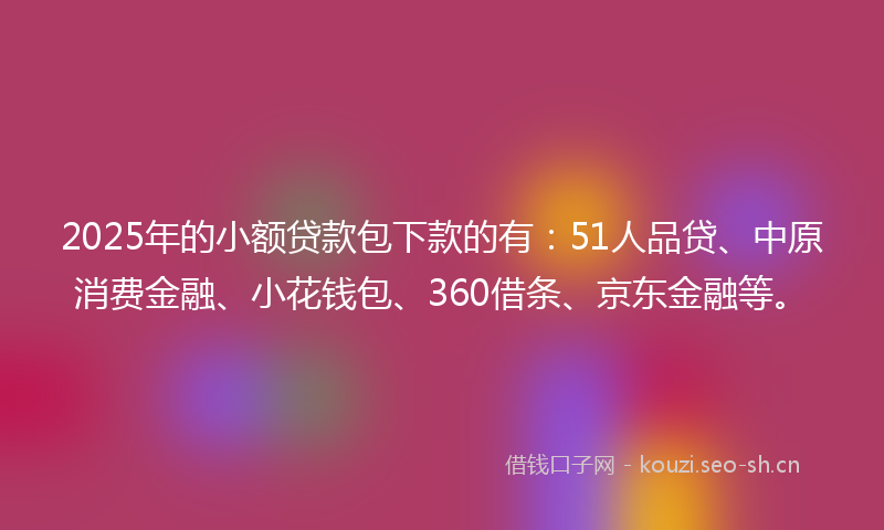 2025年的小额贷款包下款的有：51人品贷、中原消费金融、小花钱包、360借条、京东金融等。
