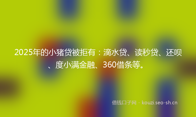 2025年的小猪贷被拒有：滴水贷、读秒贷、还呗、度小满金融、360借条等。
