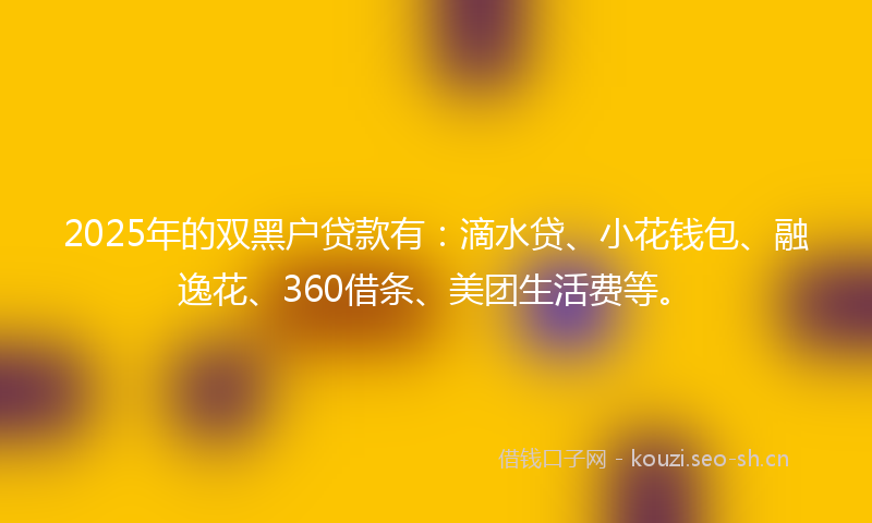 2025年的双黑户贷款有：滴水贷、小花钱包、融逸花、360借条、美团生活费等。