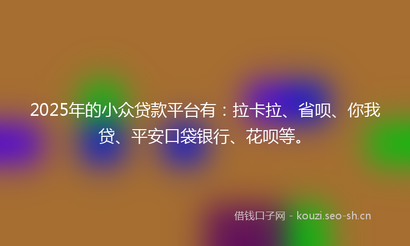 2025年的小众贷款平台有：拉卡拉、省呗、你我贷、平安口袋银行、花呗等。