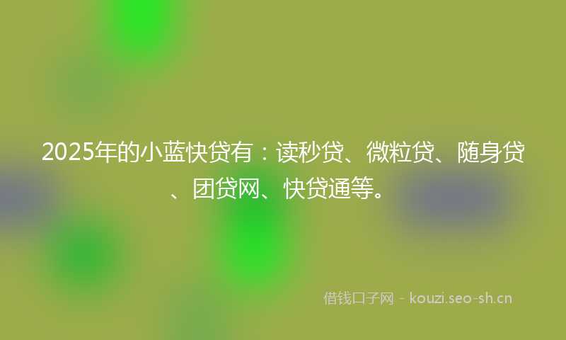 2025年的小蓝快贷有：读秒贷、微粒贷、随身贷、团贷网、快贷通等。
