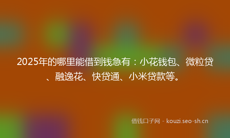 2025年的哪里能借到钱急有:小花钱包、微粒贷、融逸花、快贷通、小米贷款等。