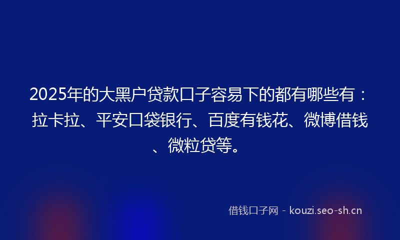 2025年的大黑户贷款口子容易下的都有哪些有：拉卡拉、平安口袋银行、百度有钱花、微博借钱、微粒贷等。