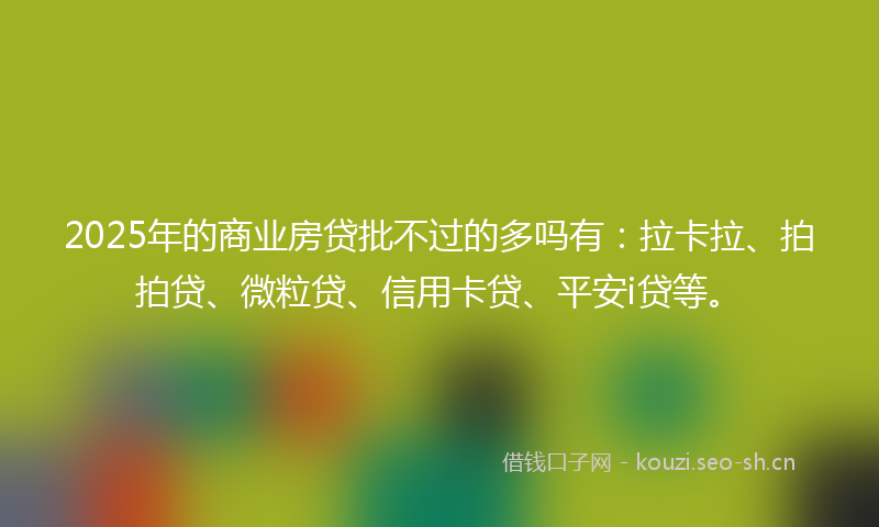 2025年的商业房贷批不过的多吗有：拉卡拉、拍拍贷、微粒贷、信用卡贷、平安i贷等。
