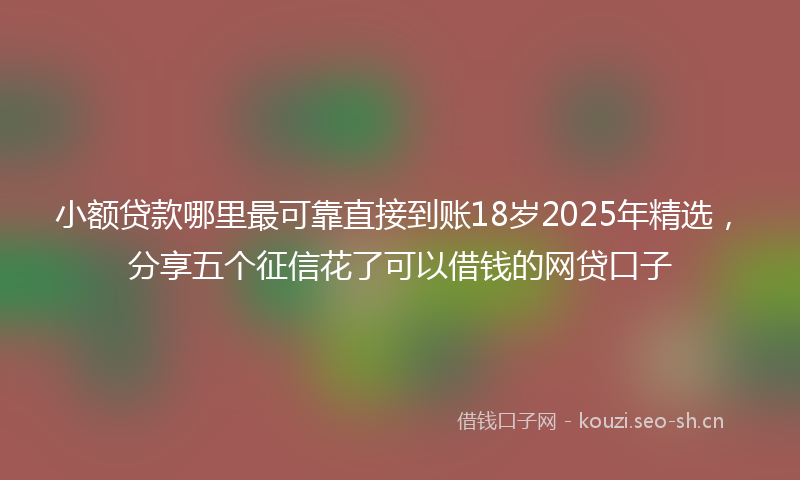 小额贷款哪里最可靠直接到账18岁2025年精选,分享五个征信花了可以借钱的网贷口子