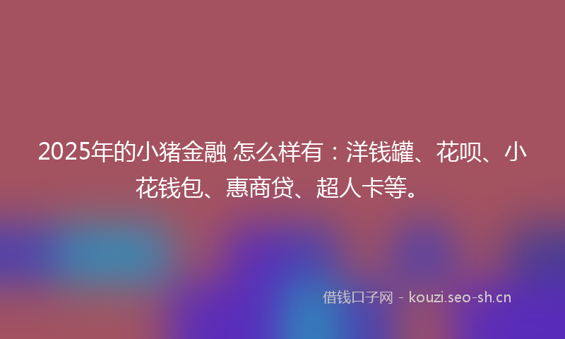 2025年的小猪金融 怎么样有：洋钱罐、花呗、小花钱包、惠商贷、超人卡等。