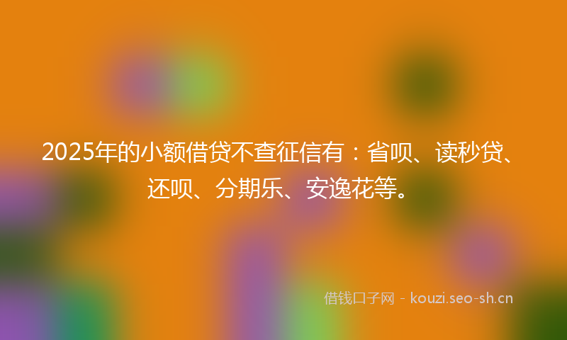 2025年的小额借贷不查征信有：省呗、读秒贷、还呗、分期乐、安逸花等。