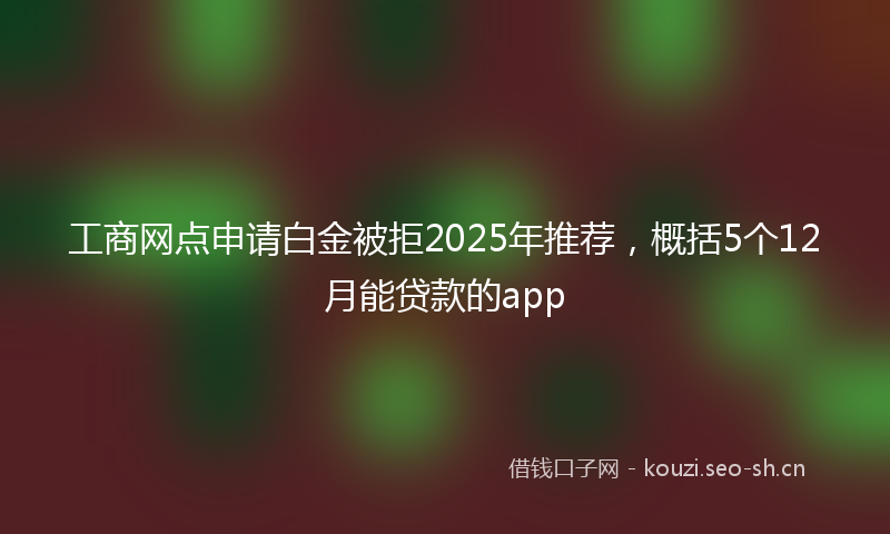 工商网点申请白金被拒2025年推荐，概括5个12月能贷款的app