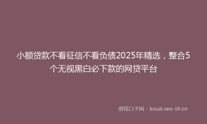 小额贷款不看征信不看负债2025年精选，整合5个无视黑白必下款的网贷平台