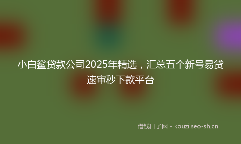小白鲨贷款公司2025年精选，汇总五个新号易贷速审秒下款平台