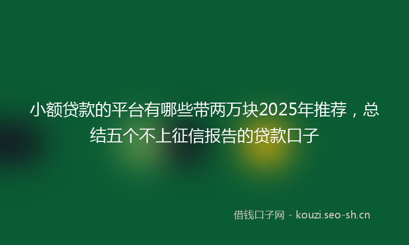 小额贷款的平台有哪些带两万块2025年推荐，总结五个不上征信报告的贷款口子