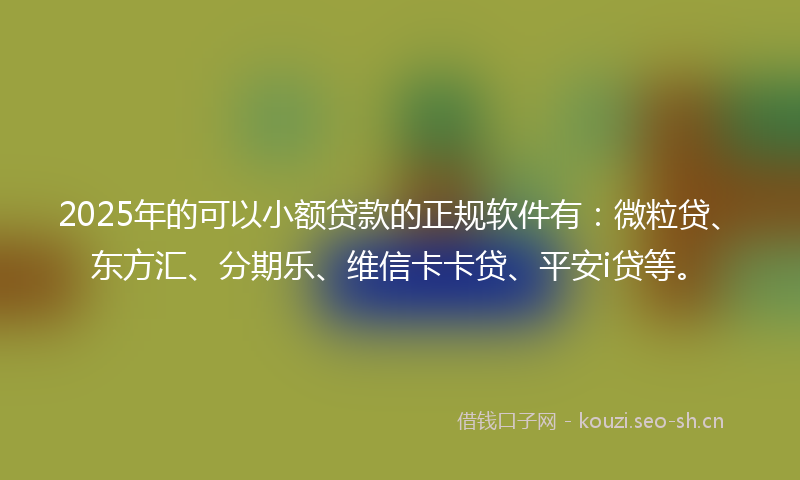 2025年的可以小额贷款的正规软件有：微粒贷、东方汇、分期乐、维信卡卡贷、平安i贷等。
